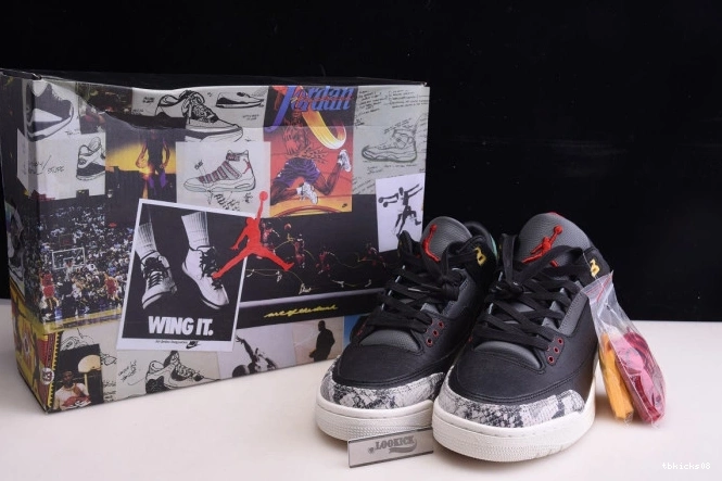Rep TBkick SE Retro Jordan Air CV3583-003 3 2.0 - Instinct Animal 0804